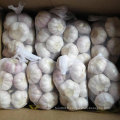 Fournisseur expérimenté d&#39;ail blanc frais en provenance de Chine